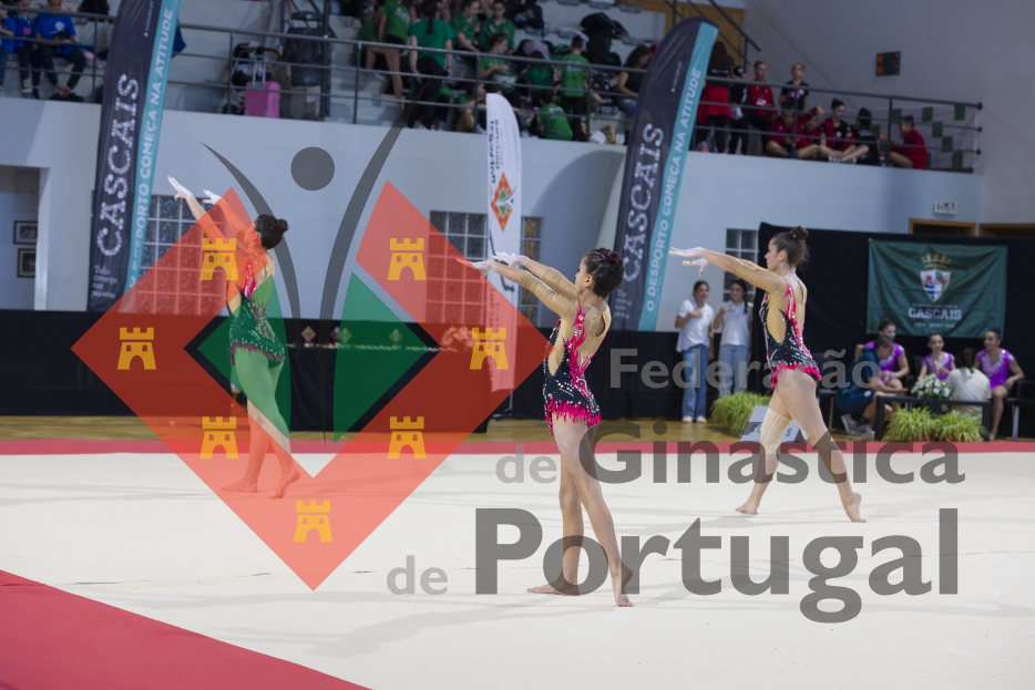 2812_Campeonato Nacional 2ª Div - ACRO